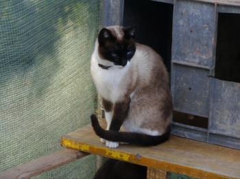 Ohne Namen 5528 Bild von Princesita