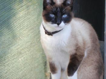Ohne Namen 5528 Bild von Princesita