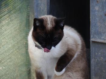 Ohne Namen 5528 Bild von Princesita