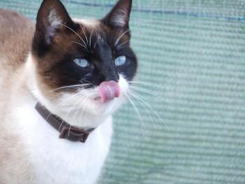 Ohne Namen 5528 Bild von Princesita