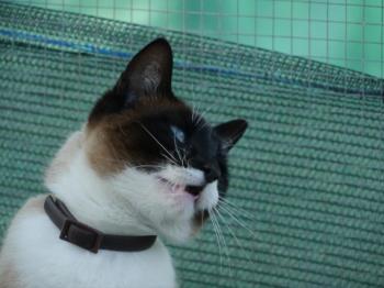Ohne Namen 5528 Bild von Princesita