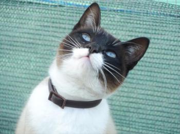 Ohne Namen 5528 Bild von Princesita