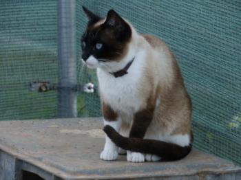 Ohne Namen 5528 Bild von Princesita