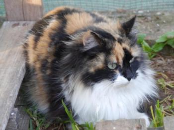 Ohne Namen 5533 Bild von Diva