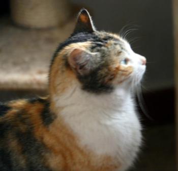 Ohne Namen 5408 Bild von Arisha
