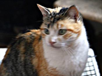 Ohne Namen 5408 Bild von Arisha