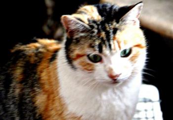 Ohne Namen 5408 Bild von Arisha