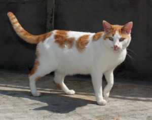 Bild von Alek