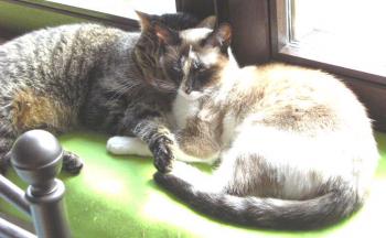 Sarah und Chatri Bild von Sarah