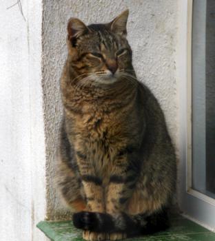 Bild von Paul