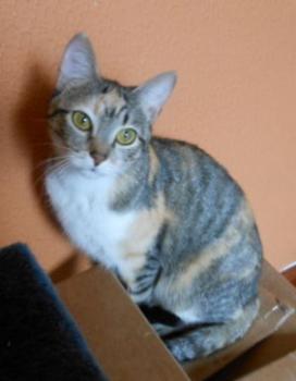 Anabel Bild von Anabel