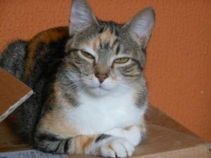 Anabel Bild von Anabel