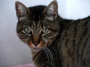 Linus Bild von Linus