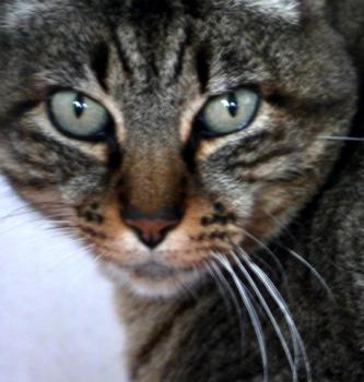 Linus Bild von Linus