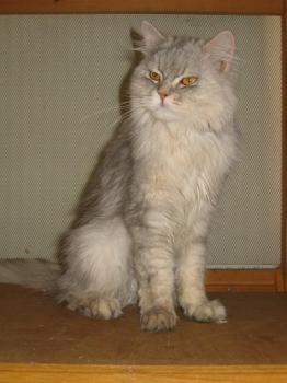 Zoey Bild von Zoey