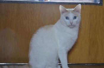 Chiqui Bild von Chiqui