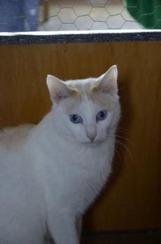 Chiqui Bild von Chiqui