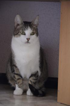 Mahoney Bild von Mahoney