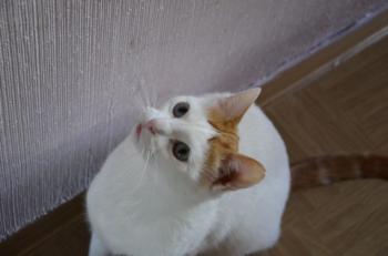 Micky Bild von Micky