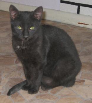 Lilith Bild von Lilith