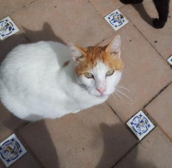 Moix Bild von Moix