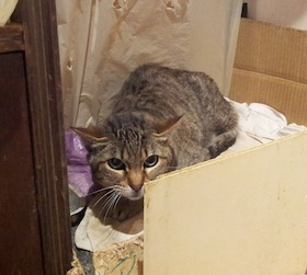 Tuki Bild von Tuki
