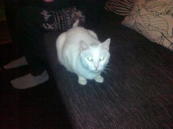 Blanca Bild von Blanca