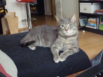 Berni Bild von Berni