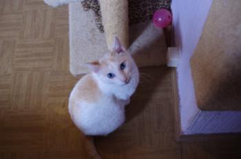 Chiqui Bild von Chiqui