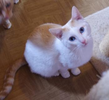 Chiqui Bild von Chiqui