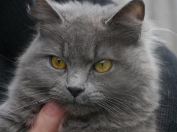 Bild von Yasmin