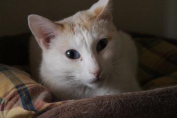 Chiqui Bild von Chiqui