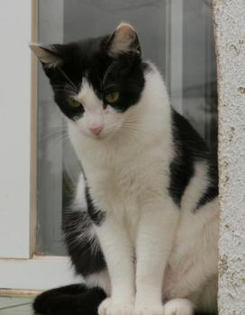 Bild von Fenja