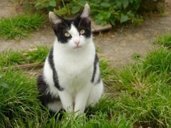 Bild von Fenja