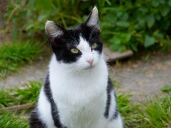 Bild von Fenja