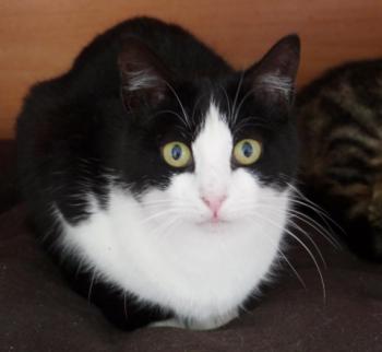 Polly Bild von Polly