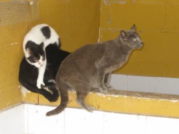 Bild von Romy