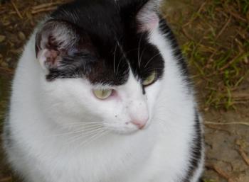 Joy Bild von Joy