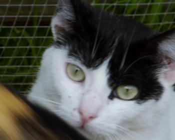 Joy Bild von Joy