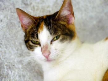 Babette Bild von Babette