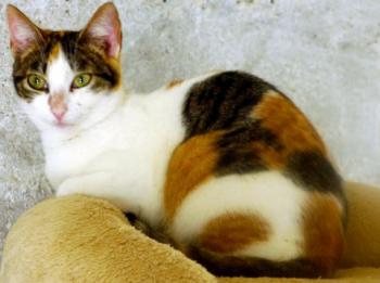 Babette Bild von Babette