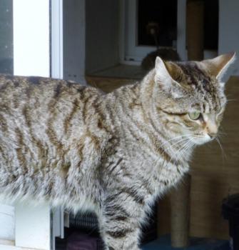 Colette Bild von Colette