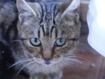 Bild von Nacha