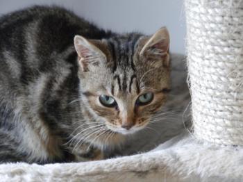 Bild von Nacha