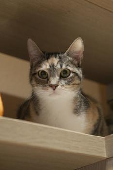 Anabel Bild von Anabel