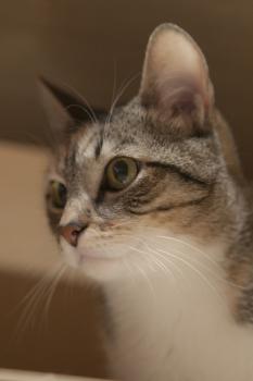 Anabel Bild von Anabel