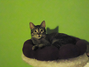 Bild von Samantha