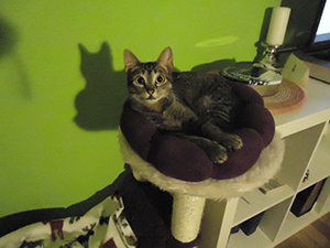 Bild von Samantha