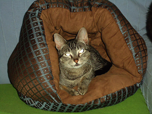 Bild von Samantha