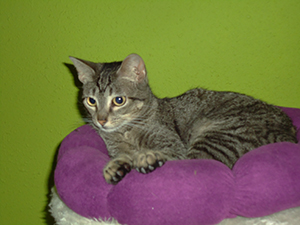 Bild von Samantha